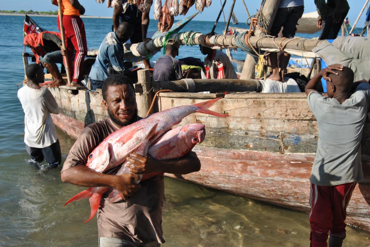Offloading the catch at Ngomeni, Kenya