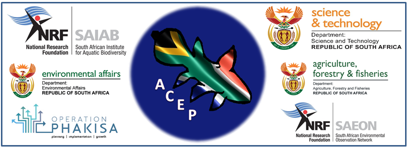 African Coelacanth Ecosystem Programme ACEP logo